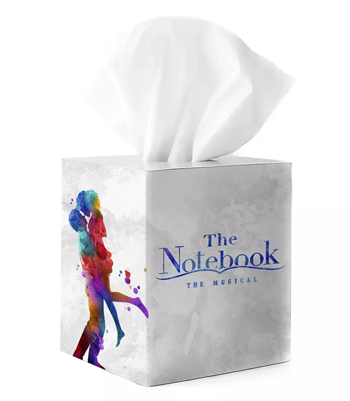 souvenir tissue box for "The Notebook" musical
