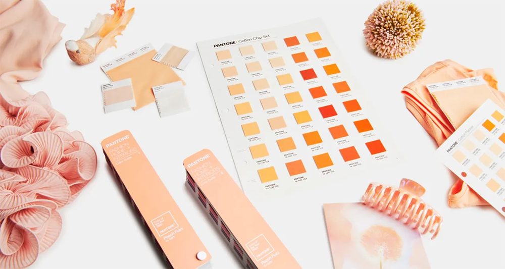 Pantone 2024 Color of the Year Peach Fuzz swatches and samples